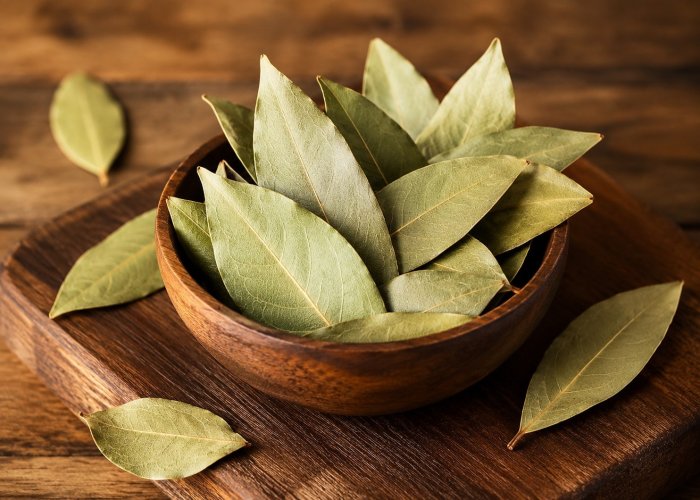 Bay Leaf – ₹60 | Export: ₹100
